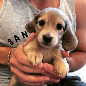 Meet your Posher, Jeff